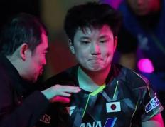 乐鱼体育-法国乒乓球队逆转比利时乒乓球队，张本智和爆发神勇的简单介绍