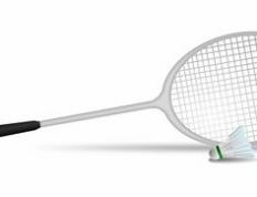 乐鱼体育app-泰国羽毛球队强势击败韩国羽毛球队，马琳一己之力扛起全队